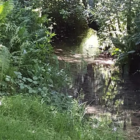Hébergement de vacances Fill's Oase Am Bach *